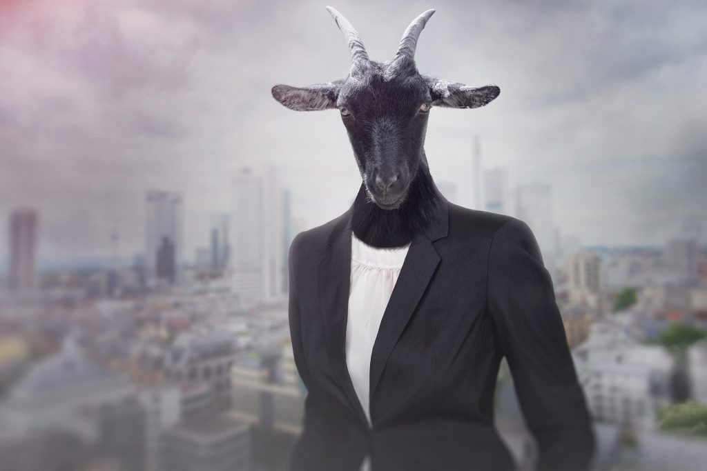 stupid businesses blog post image, a boss with a goats head